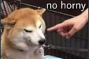 nohorny