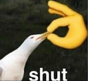 shut